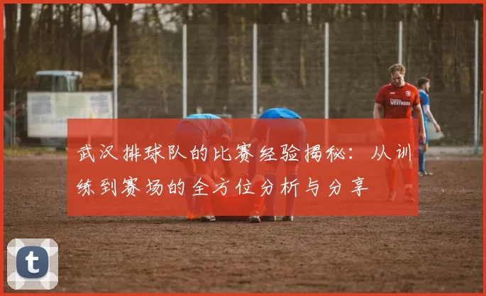 武汉排球队的比赛经验揭秘：从训练到赛场的全方位分析与分享