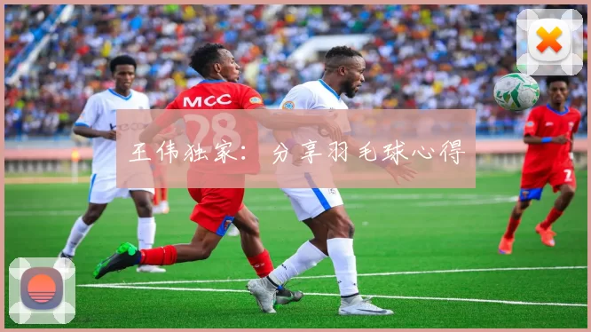 王伟独家：分享羽毛球心得