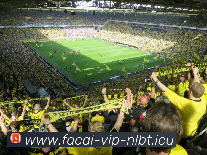 星空体育服务体系